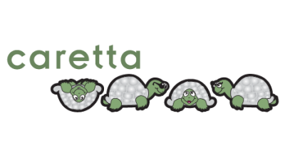 CARETTA KİTAP LİSTESİ